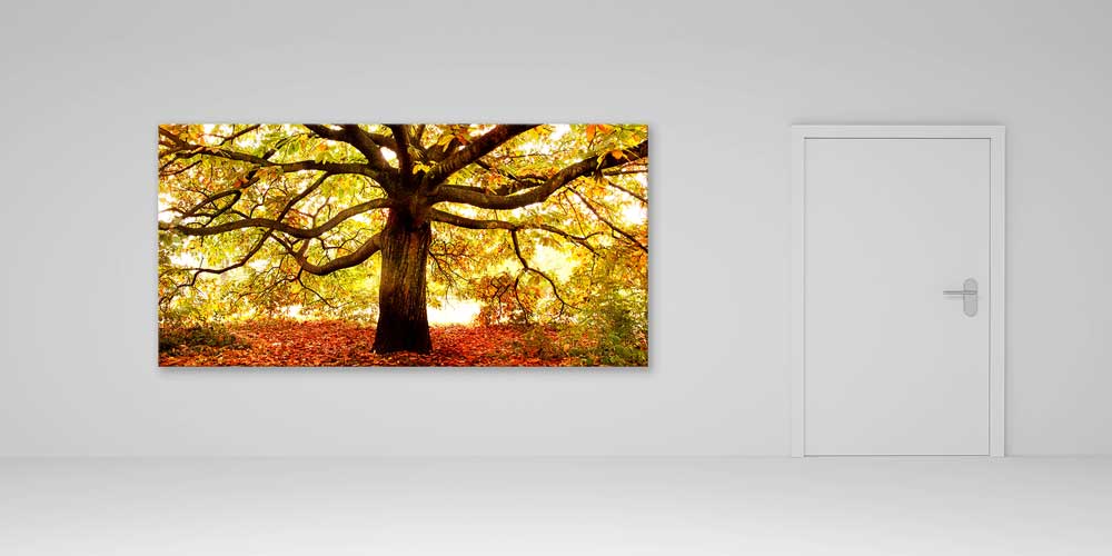 Sonbahar Yayılı Koca Meşe Ağacı Büyük Ebat Duvar Dekoru 14242