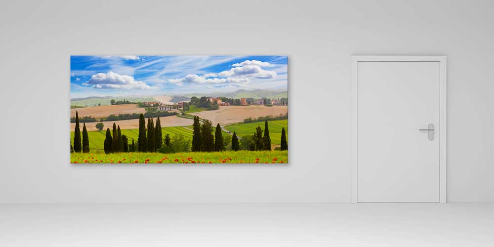 Toskana Vadisi Selvi Ağaçları Panoramik Büyük Ebat Duvar Dekoru 14205