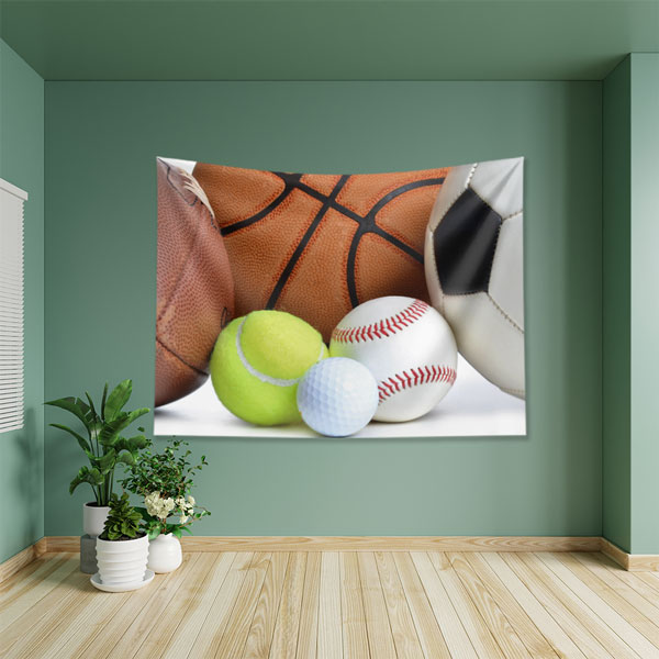 Çoklu Spor Topları Duvar Örtüsü 5867