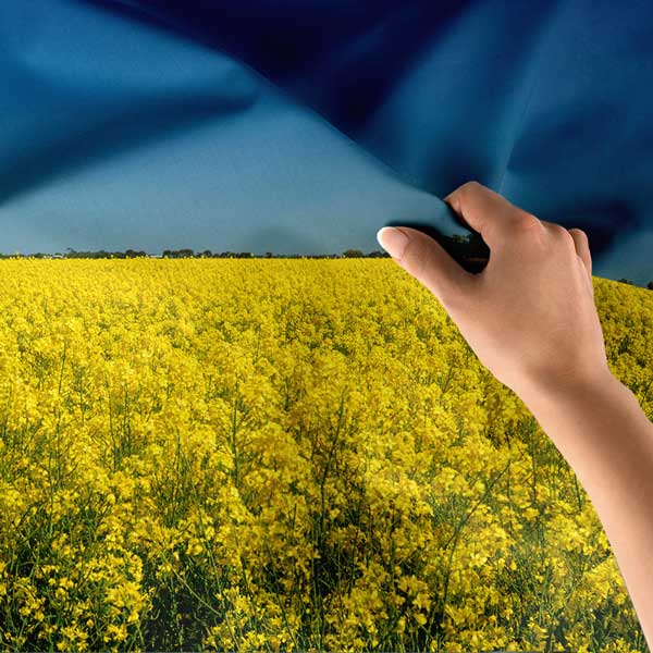 Afrika Sarı Çiçek Tarlası Doğa Manzarası Duvar Örtüsü Kumaş Baskı 14266