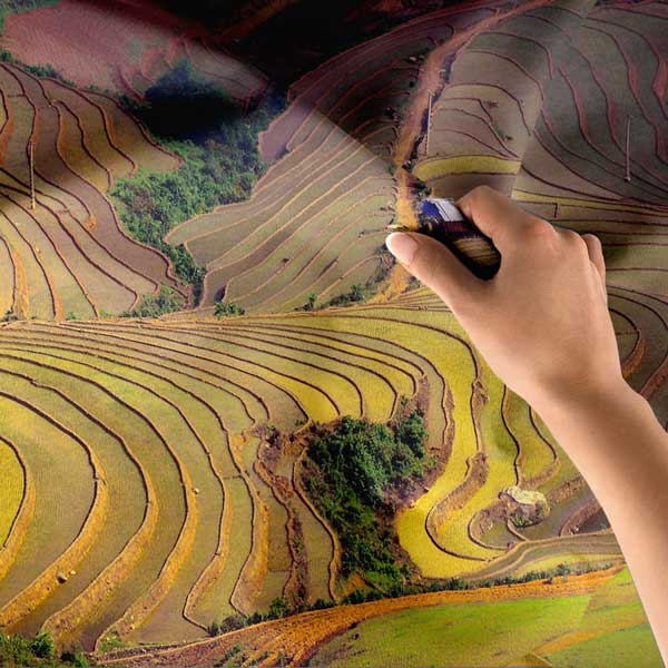 Teraslı Tarım Alanları ve Kıvrımlı Doğa Desenleri Duvar Örtüsü 14291