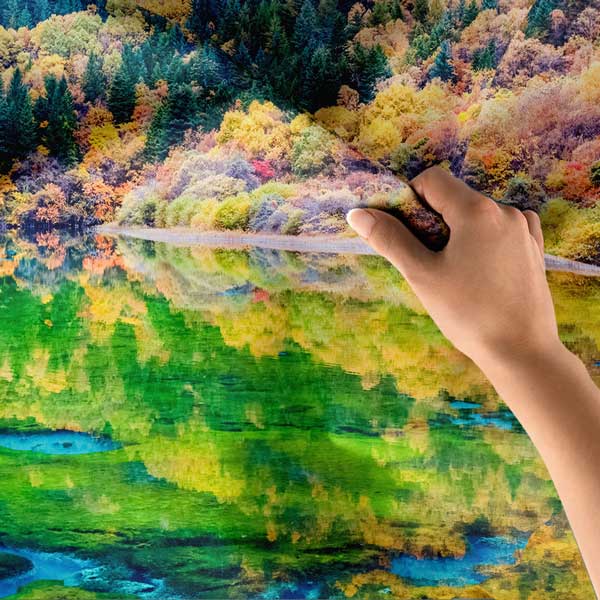 Sonbahar Ormanı ve Göl Yansıması Doğa Manzarası Duvar Örtüsü 14295