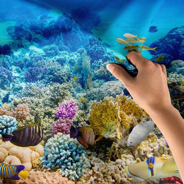 Tropikal Mercan Resifleri ve Deniz Altı Yaşamı Duvar Örtüsü 14302