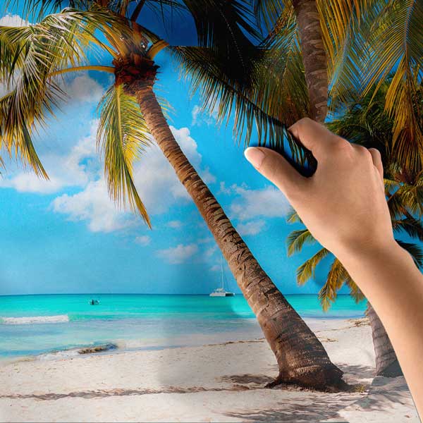 Palmiye Ağaçlı Tropikal Sahil ve Turkuaz Deniz Duvar Örtüsü 14297