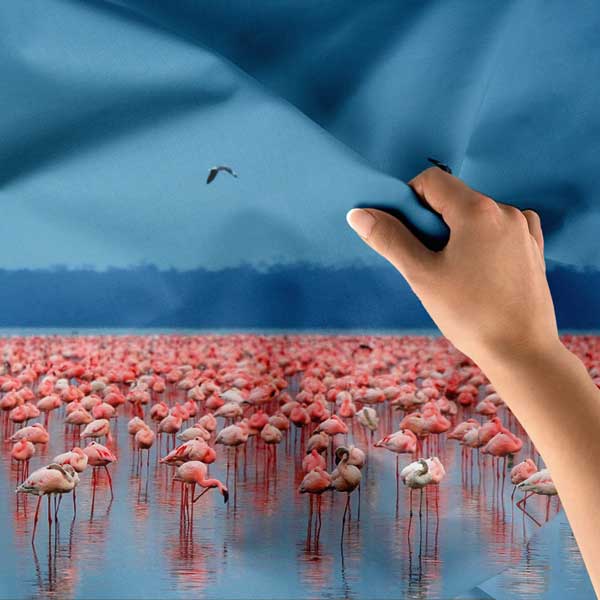 Afrika Flamingo Gölü Doğa Manzarası Duvar Örtüsü Kumaş Baskı 14267