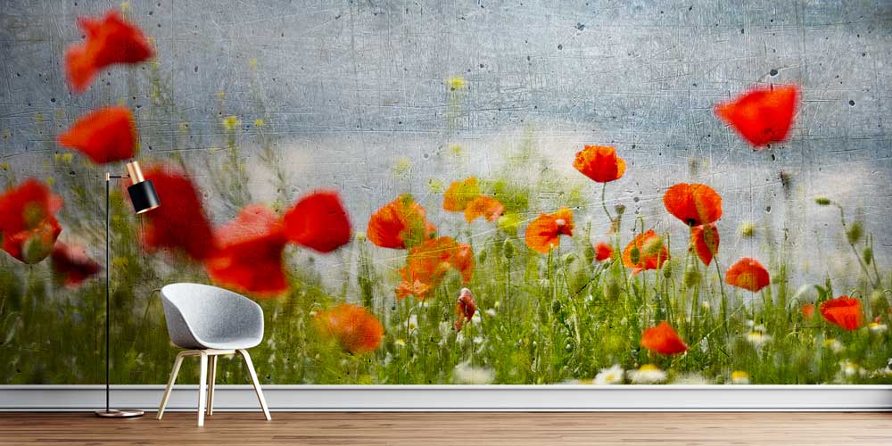 Beton Zemin Üzerinde Gelincik Çiçekleri Doğa Duvar Kağıdı 5246