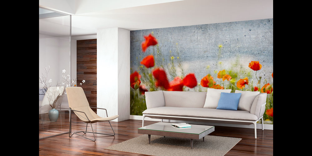 Beton Zemin Üzerinde Gelincik Çiçekleri Doğa Duvar Kağıdı 5246