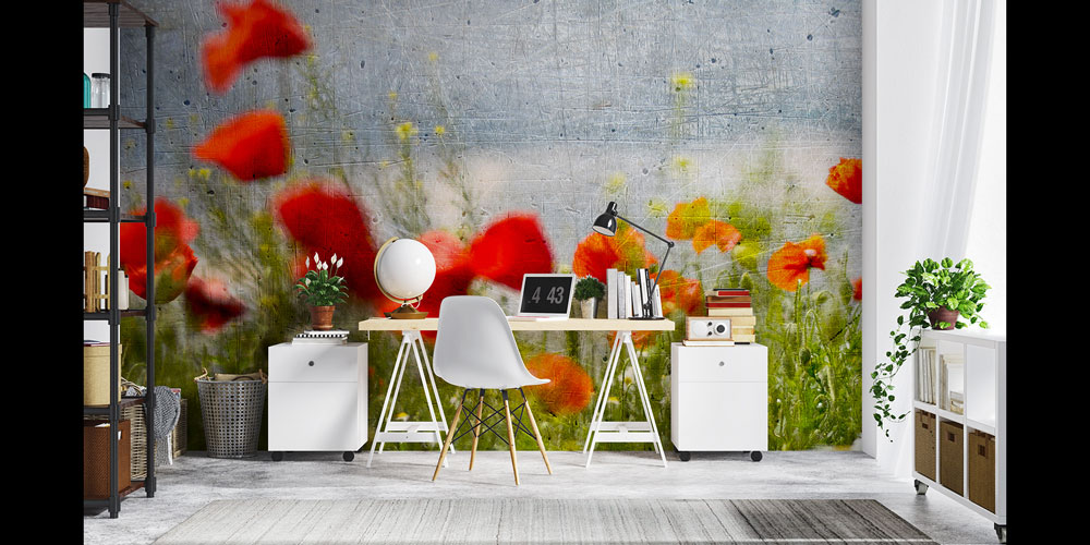 Beton Zemin Üzerinde Gelincik Çiçekleri Doğa Duvar Kağıdı 5246