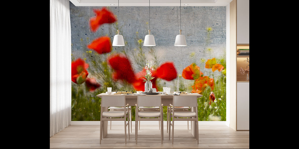 Beton Zemin Üzerinde Gelincik Çiçekleri Doğa Duvar Kağıdı 5246