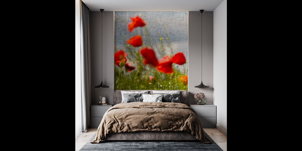 Beton Zemin Üzerinde Gelincik Çiçekleri Doğa Duvar Kağıdı 5246