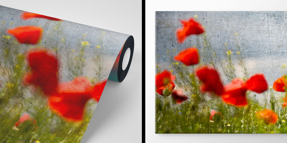 Beton Zemin Üzerinde Gelincik Çiçekleri Doğa Duvar Kağıdı 5246