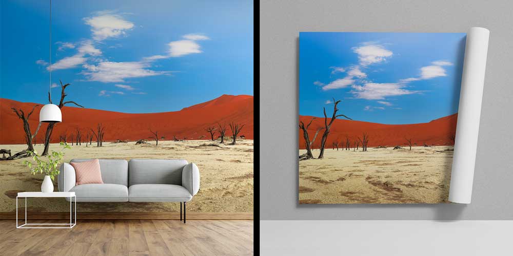 Kızıl Çöl ve Kurumuş Ağaçlar Duvar Kağıdı 12790