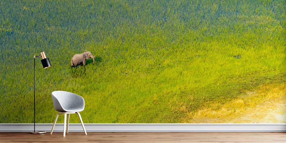 Afrika savanalarında antilop sürüsü panoramik duvar kağıdı 12801