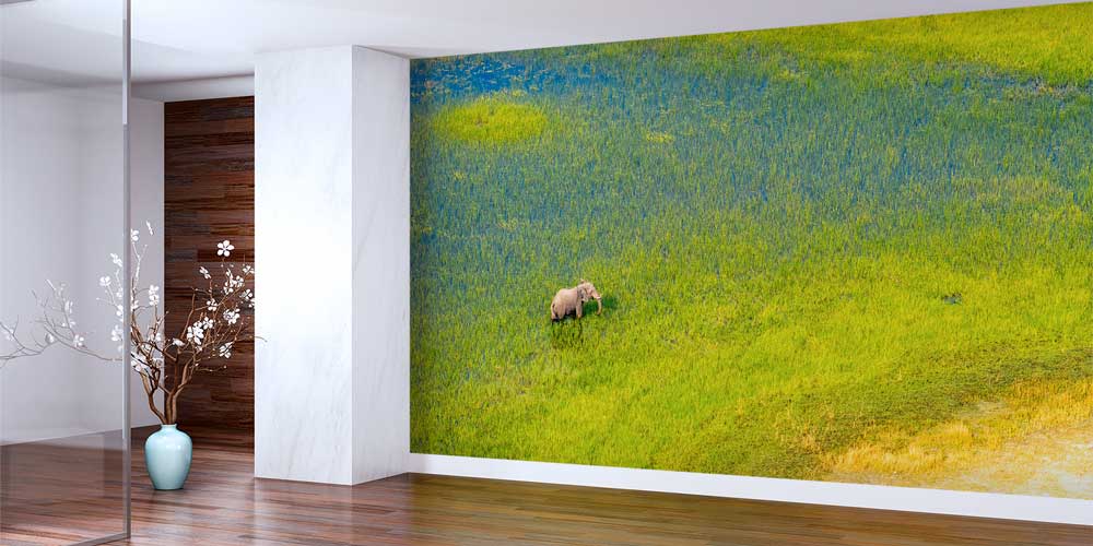 Afrika savanalarında antilop sürüsü panoramik duvar kağıdı 12801