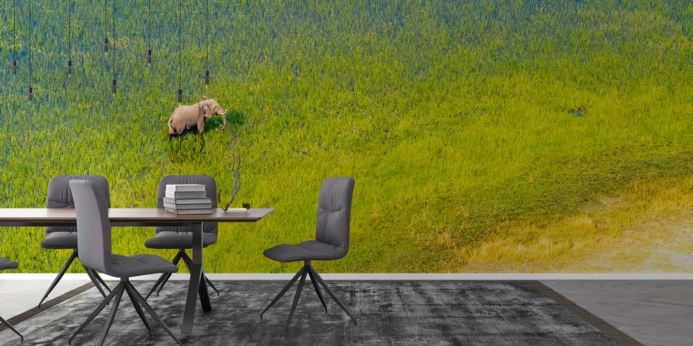 Afrika savanalarında antilop sürüsü panoramik duvar kağıdı 12801