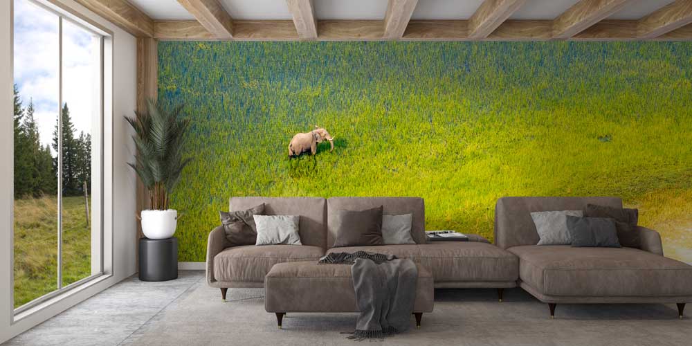 Afrika savanalarında antilop sürüsü panoramik duvar kağıdı 12801