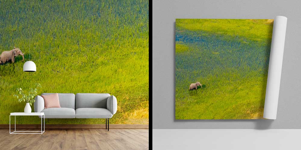 Afrika savanalarında antilop sürüsü panoramik duvar kağıdı 12801