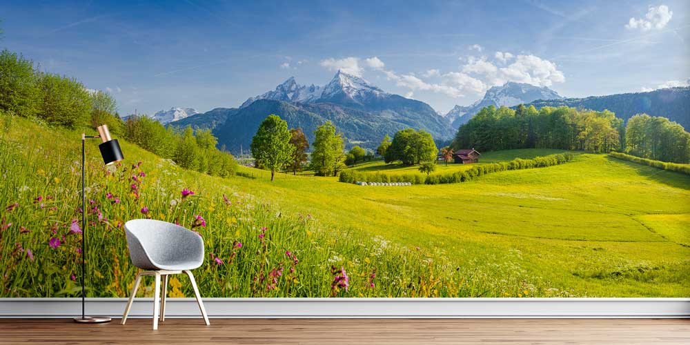 Alp Çayırları ve Karlı Dağ Zirveleri Manzarası Duvar Kağıdı 13059