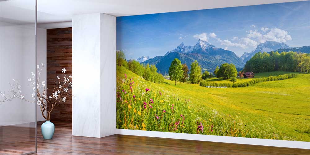 Alp Çayırları ve Karlı Dağ Zirveleri Manzarası Duvar Kağıdı 13059