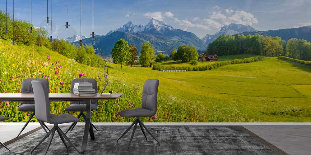 Alp Çayırları ve Karlı Dağ Zirveleri Manzarası Duvar Kağıdı 13059