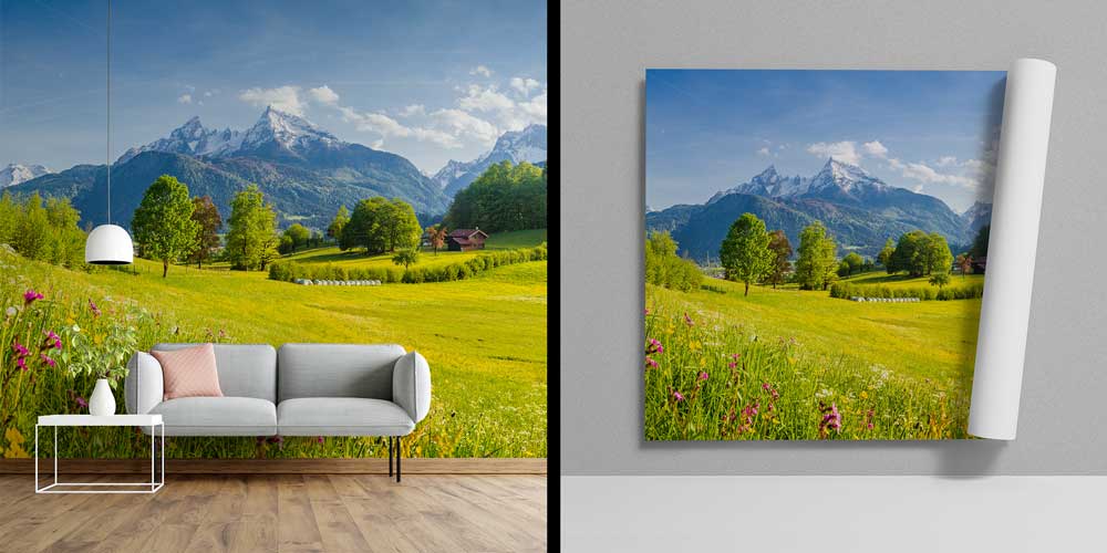 Alp Çayırları ve Karlı Dağ Zirveleri Manzarası Duvar Kağıdı 13059