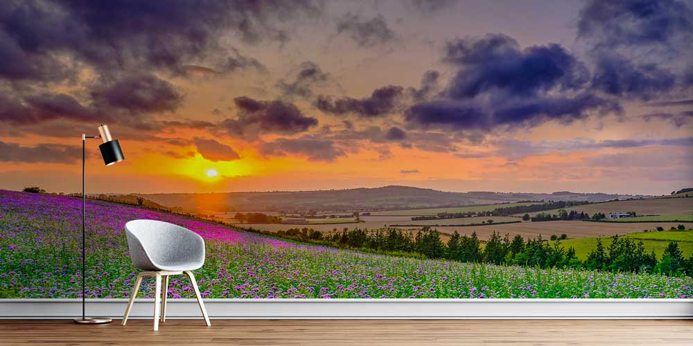 Gün Batımında Mor Çiçek Tarlası Manzaralı Duvar Kağıdı 13077