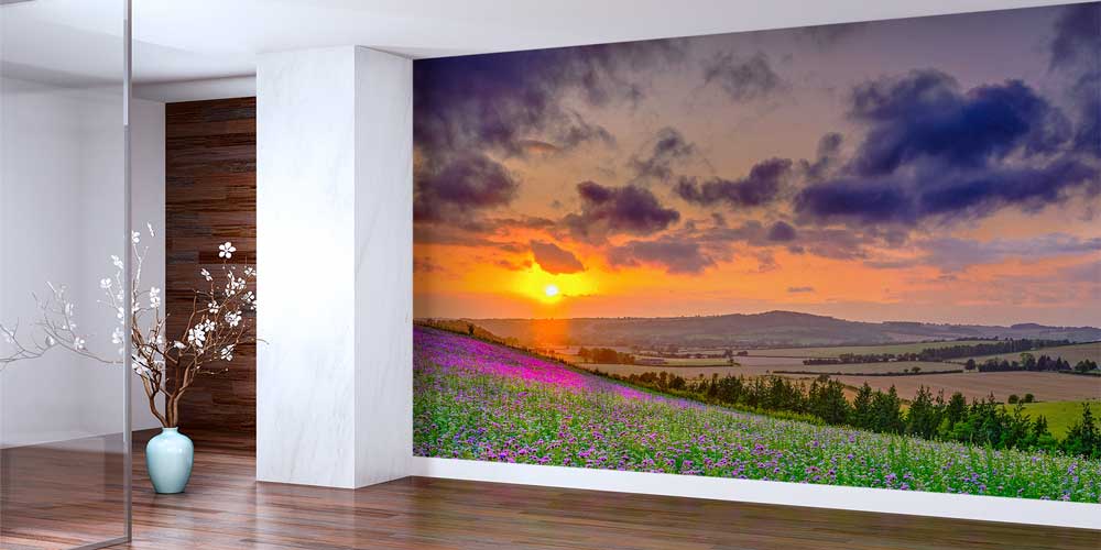 Gün Batımında Mor Çiçek Tarlası Manzaralı Duvar Kağıdı 13077