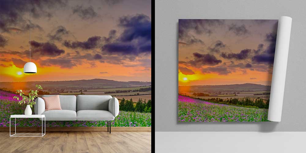 Gün Batımında Mor Çiçek Tarlası Manzaralı Duvar Kağıdı 13077