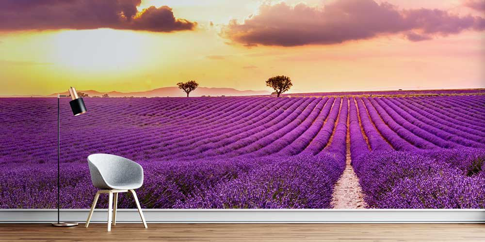 Gün Batımında Lavanta Tarlası Manzaralı Duvar Kağıdı 13111