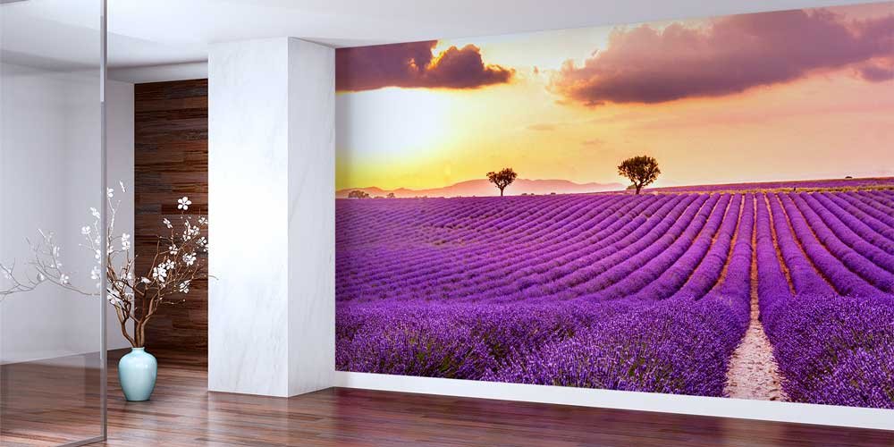 wallpaper-decoration-13111-01 Gün Batımında Lavanta Tarlası Manzaralı Duvar Kağıdı 13111