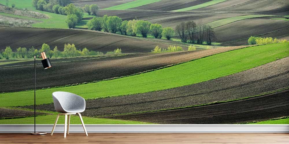 Yeşil Tarlalar Bahar Peyzajı Duvar Kağıdı 12959