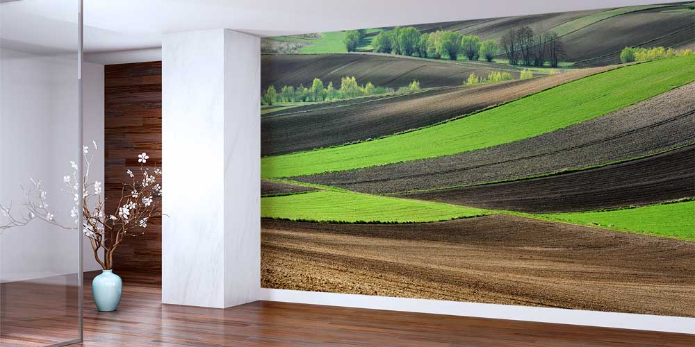 wallpaper-interior-design-12959-01 Yeşil Tarlalar Bahar Peyzajı Duvar Kağıdı 12959