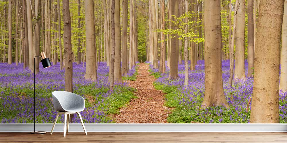 Mor Çiçekli Orman Yolu Manzaralı Avrupa Duvar Kağıdı 13100