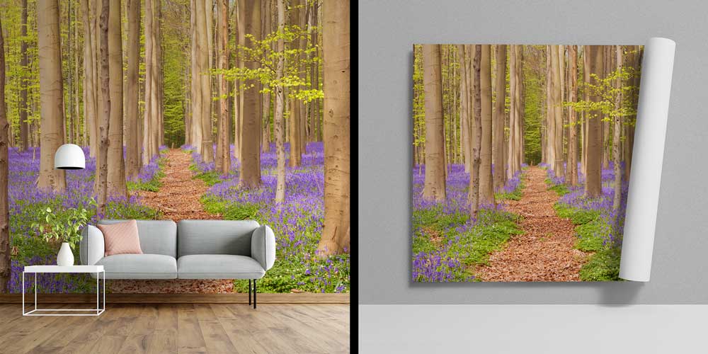 wallpaper-interior-design-13100-04 Mor Çiçekli Orman Yolu Manzaralı Avrupa Duvar Kağıdı 13100