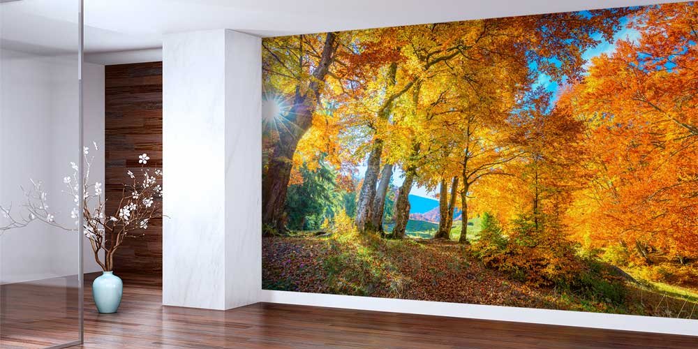 wallpaper-print-13081-01 Güneş Işıklı Sonbahar Ormanı Manzaralı Duvar Kağıdı 13081