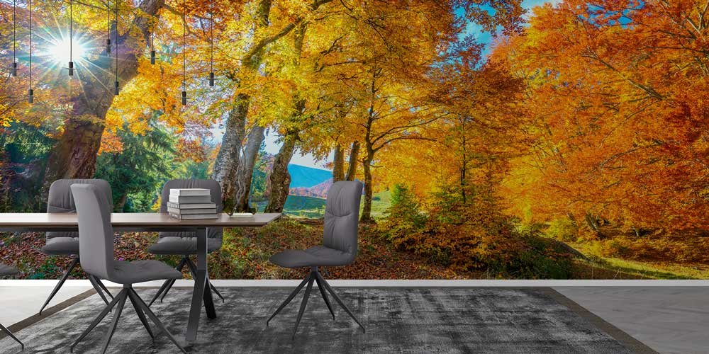 wallpaper-print-13081-02 Güneş Işıklı Sonbahar Ormanı Manzaralı Duvar Kağıdı 13081