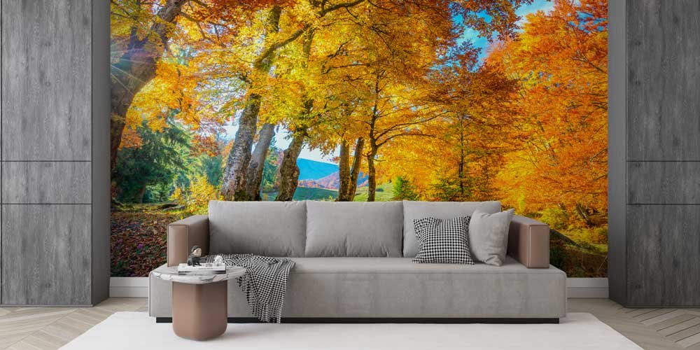 wallpaper-print-13081-04 Güneş Işıklı Sonbahar Ormanı Manzaralı Duvar Kağıdı 13081