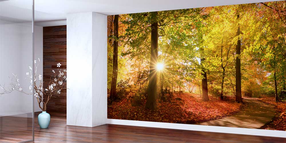 Sonbahar Orman Yolu ve Güneş Işığı Manzaralı Duvar Kağıdı 13085