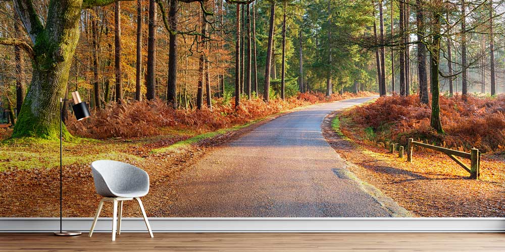 Sonbahar Ormanı ve Kıvrımlı Yol Manzaralı Avrupa Duvar Kağıdı 13116