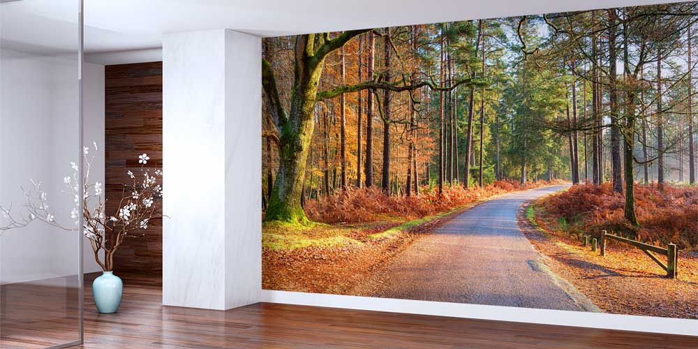 Sonbahar Ormanı ve Kıvrımlı Yol Manzaralı Avrupa Duvar Kağıdı 13116