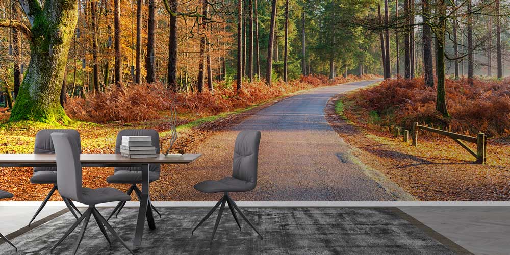 Sonbahar Ormanı ve Kıvrımlı Yol Manzaralı Avrupa Duvar Kağıdı 13116