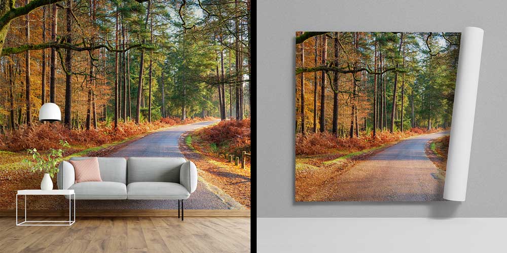 Sonbahar Ormanı ve Kıvrımlı Yol Manzaralı Avrupa Duvar Kağıdı 13116