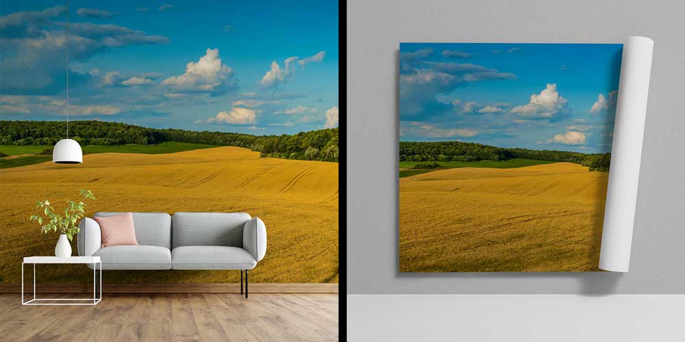 Altın Sarısı Ekin Tarlaları Manzaralı Avrupa Duvar Kağıdı 13093