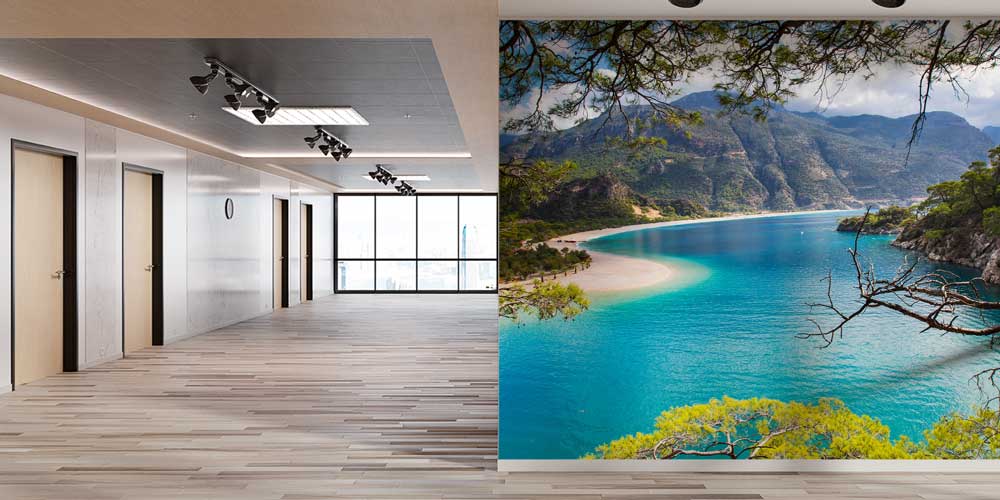 Turkuaz Koy ve Çam Ormanları Manzaralı Duvar Kağıdı 11532