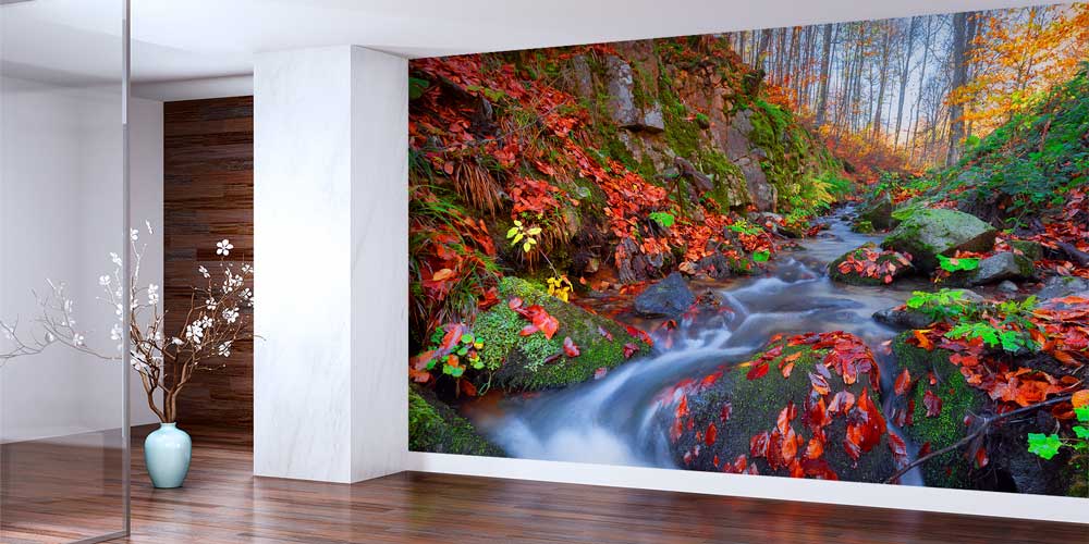 Sonbahar Deresi ve Orman Doğası Manzarası Duvar Kağıdı 11565