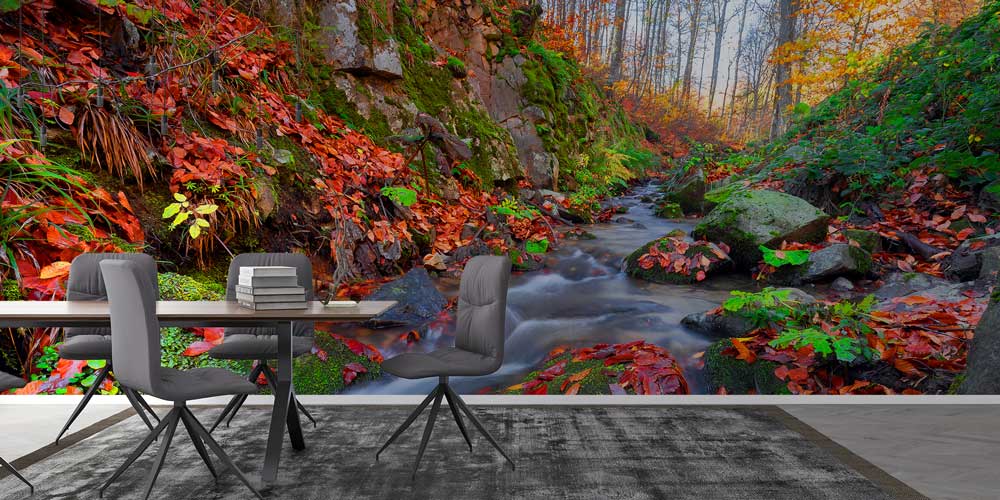 Sonbahar Deresi ve Orman Doğası Manzarası Duvar Kağıdı 11565
