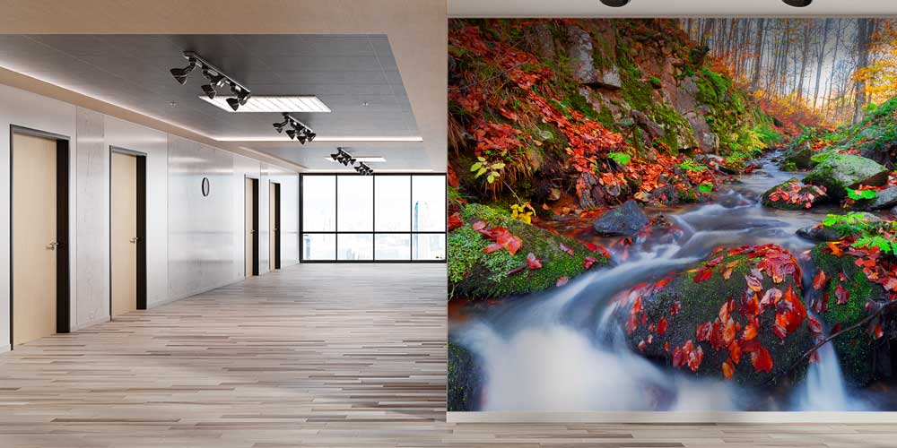 Sonbahar Deresi ve Orman Doğası Manzarası Duvar Kağıdı 11565