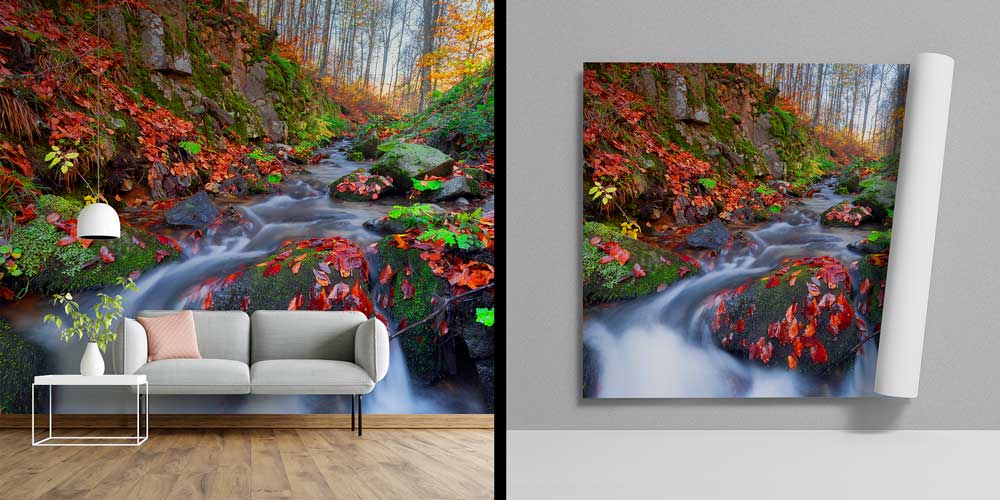 Sonbahar Deresi ve Orman Doğası Manzarası Duvar Kağıdı 11565