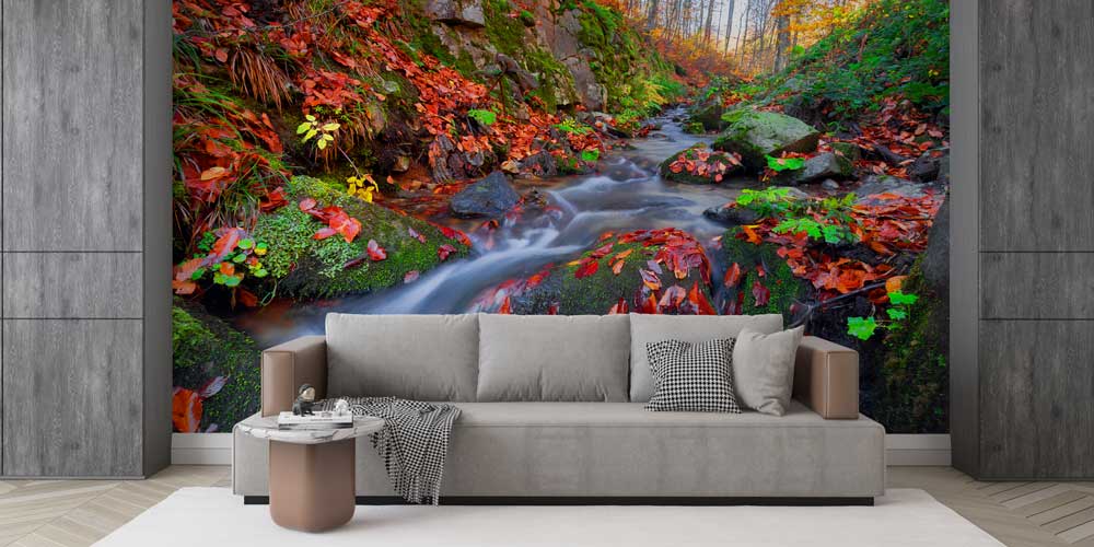 Sonbahar Deresi ve Orman Doğası Manzarası Duvar Kağıdı 11565