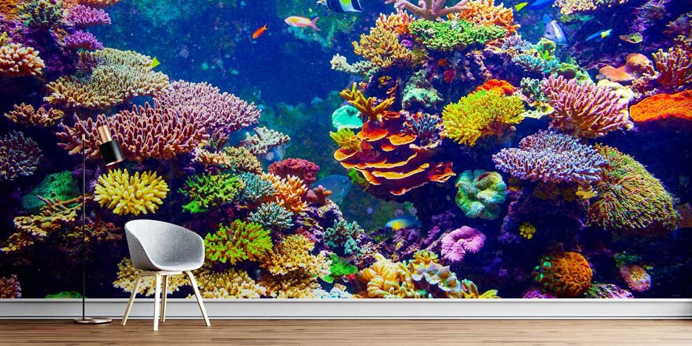Renkli Mercan Resifi Su Altı Duvar Kağıdı 12807